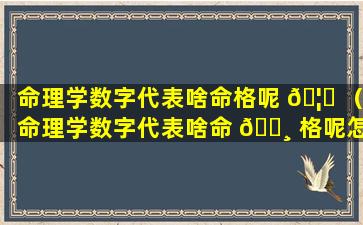 命理学数字代表啥命格呢 🦍 （命理学数字代表啥命 🌸 格呢怎么解释）